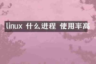 linux 什么进程 使用率高