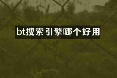 bt搜索引擎哪个好用