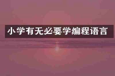 小学有无必要学编程语言