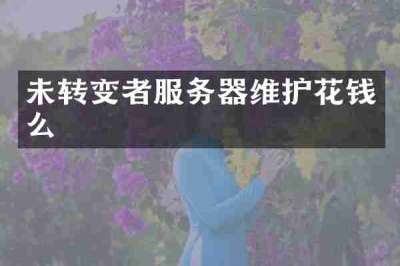 未转变者服务器维护花钱么