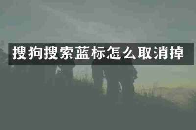 搜狗搜索蓝标怎么取消掉
