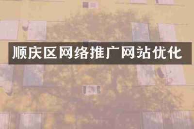 顺庆区网络推广网站优化