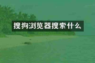 搜狗浏览器搜索什么