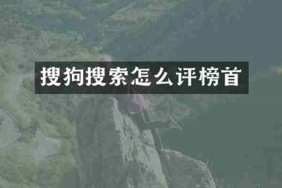 搜狗搜索怎么评榜首