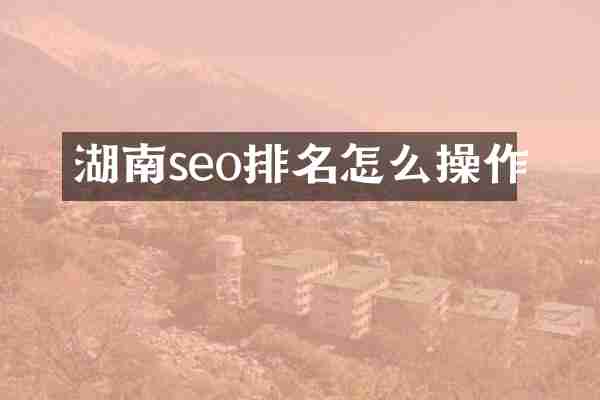 湖南seo排名怎么操作