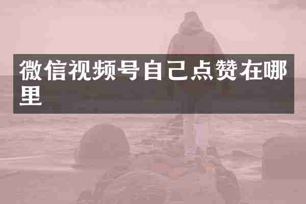 微信视频号自己点赞在哪里