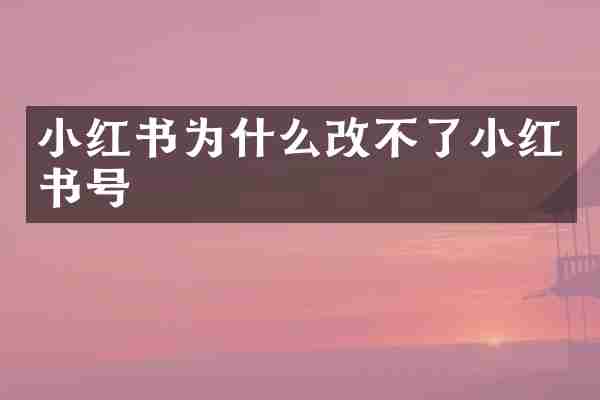 小红书为什么改不了小红书号