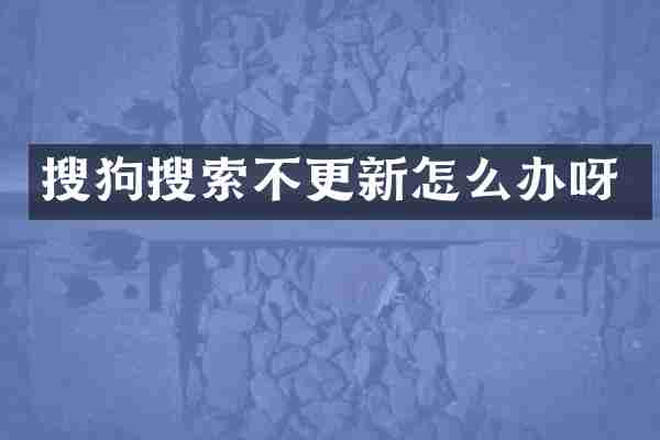 搜狗搜索不更新怎么办呀