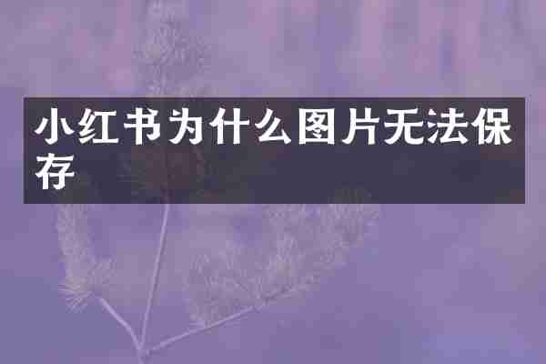 小红书为什么图片无法保存