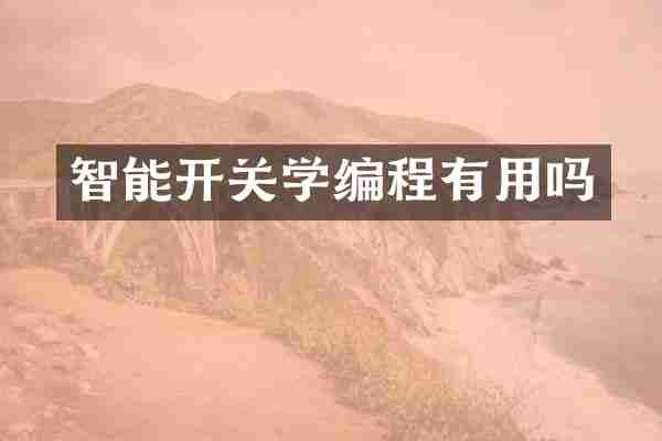 智能开关学编程有用吗