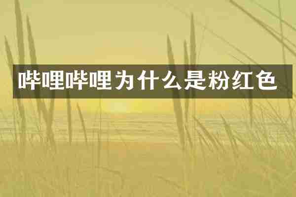 哔哩哔哩为什么是粉红色