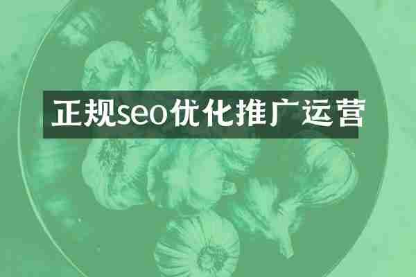 正规seo优化推广运营