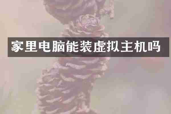 家里电脑能装虚拟主机吗