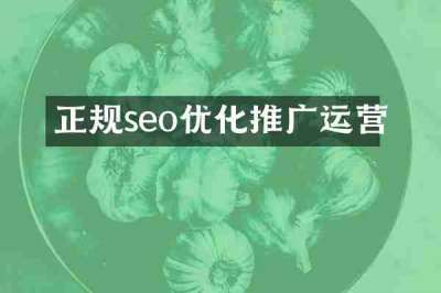 正规seo优化推广运营