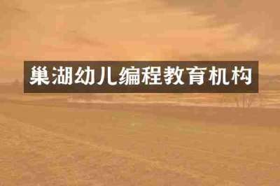 巢湖幼儿编程教育机构