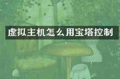 虚拟主机怎么用宝塔控制