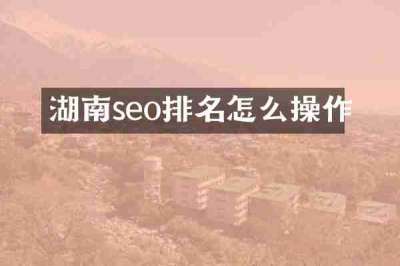 湖南seo排名怎么操作