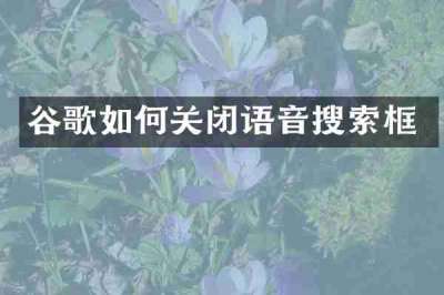 谷歌如何关闭语音搜索框