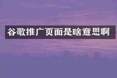 谷歌推广页面是啥意思啊