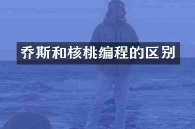 乔斯和核桃编程的区别