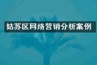 姑苏区网络营销分析案例