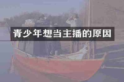青少年想当主播的原因