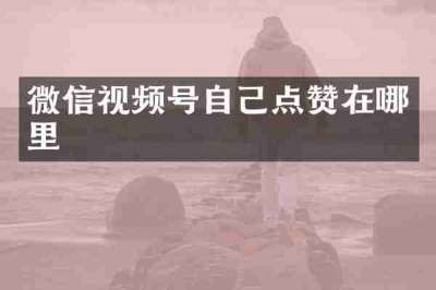微信视频号自己点赞在哪里
