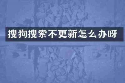 搜狗搜索不更新怎么办呀