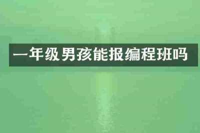 一年级男孩能报编程班吗