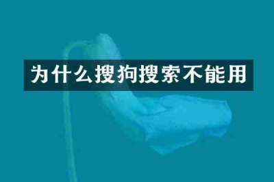 为什么搜狗搜索不能用