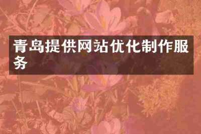 青岛提供网站优化制作服务
