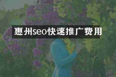惠州seo快速推广费用
