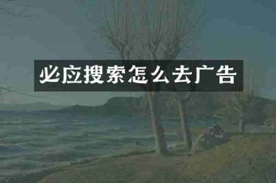 必应搜索怎么去广告