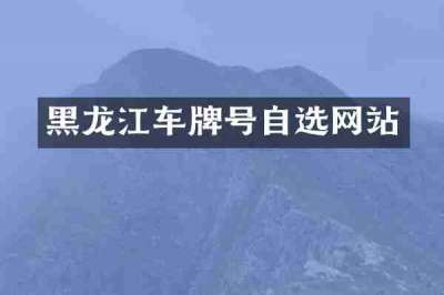 黑龙江车牌号自选网站