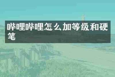 哔哩哔哩怎么加等级和硬笔