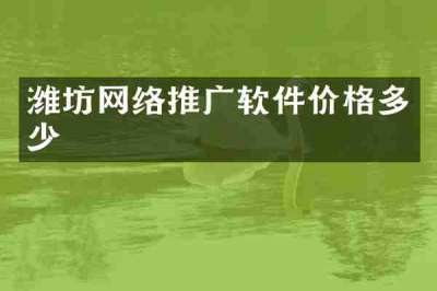 潍坊网络推广软件价格多少