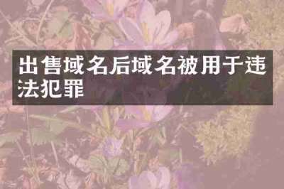 出售域名后域名被用于违法犯罪