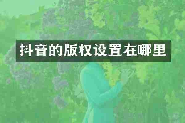 抖音的版权设置在哪里