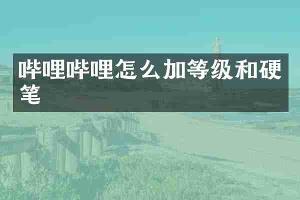 哔哩哔哩怎么加等级和硬笔