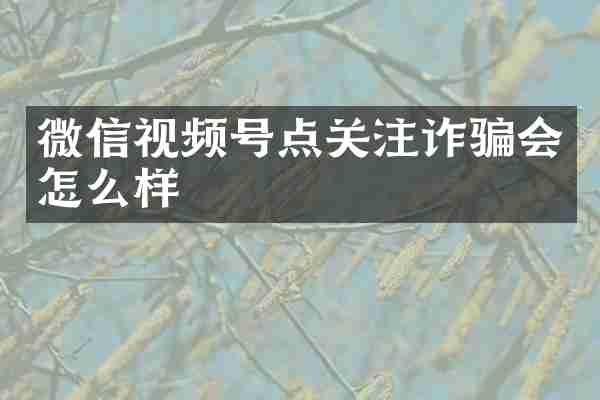 微信视频号点关注诈骗会怎么样