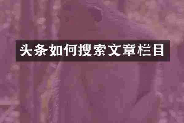 头条如何搜索文章栏目