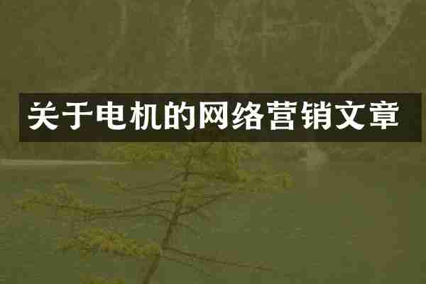 关于电机的网络营销文章