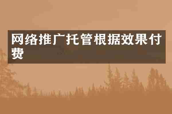 网络推广托管根据效果付费