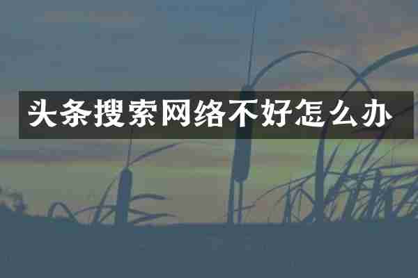 头条搜索网络不好怎么办