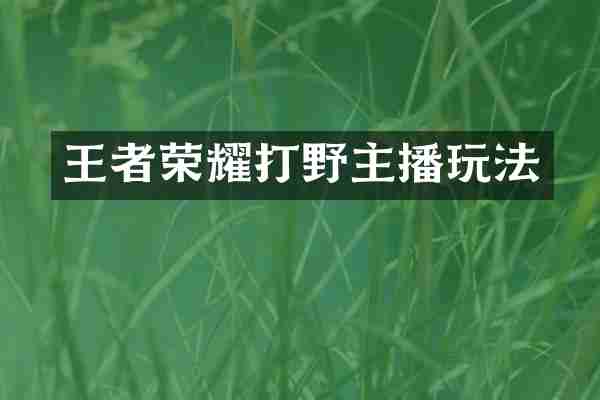 王者荣耀打野主播玩法