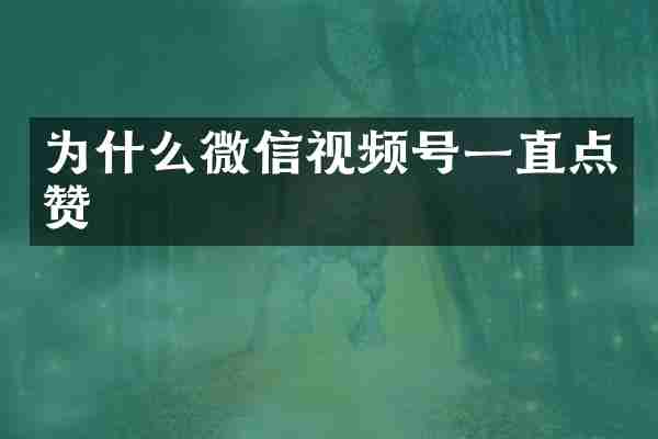 为什么微信视频号一直点赞