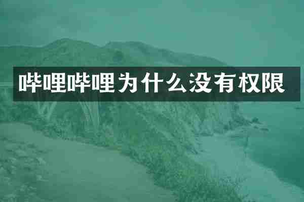 哔哩哔哩为什么没有权限