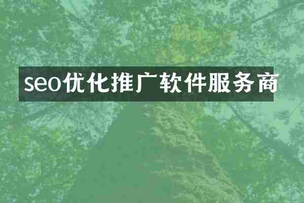 seo优化推广软件服务商