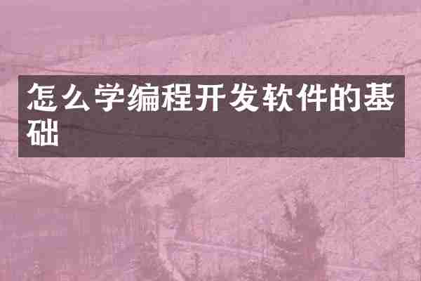 怎么学编程开发软件的基础