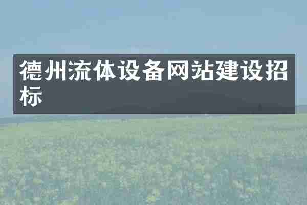 德州流体设备网站建设招标